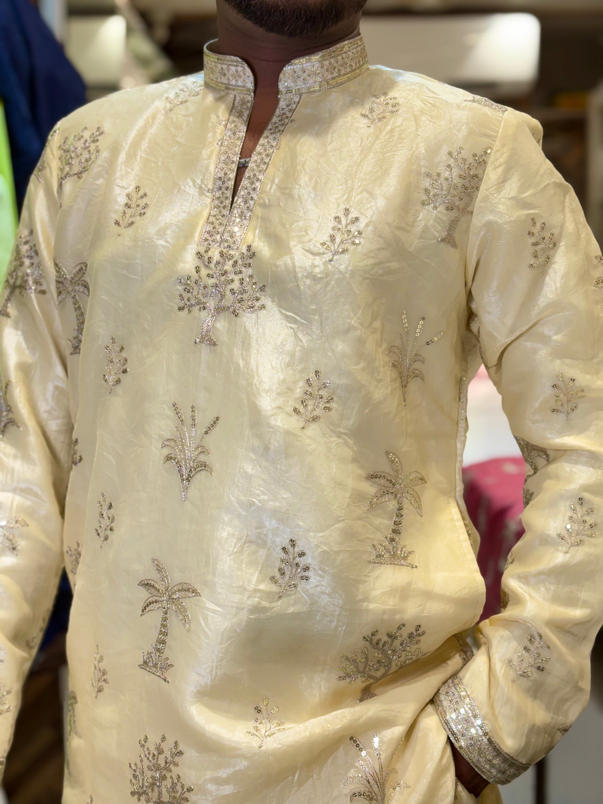 Premium Tissue Embroidered Knee-Length Kurta
