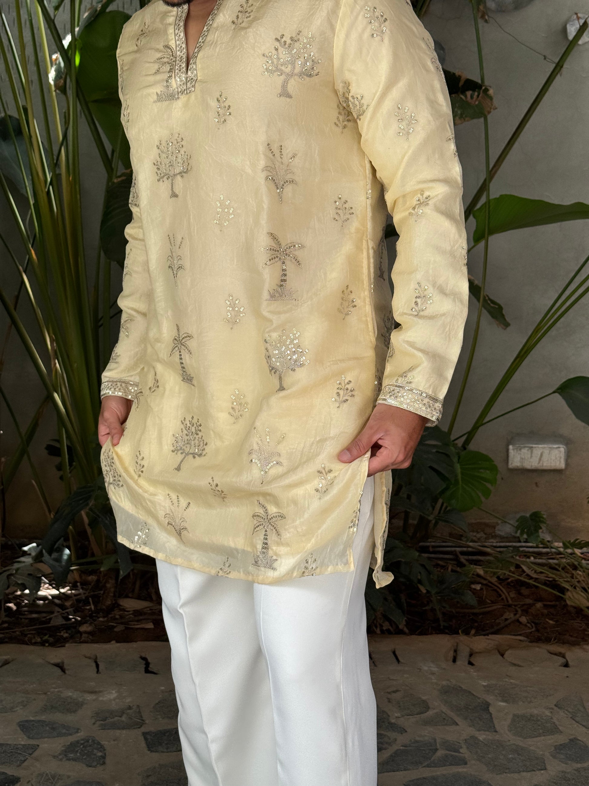Premium Tissue Embroidered Knee-Length Kurta