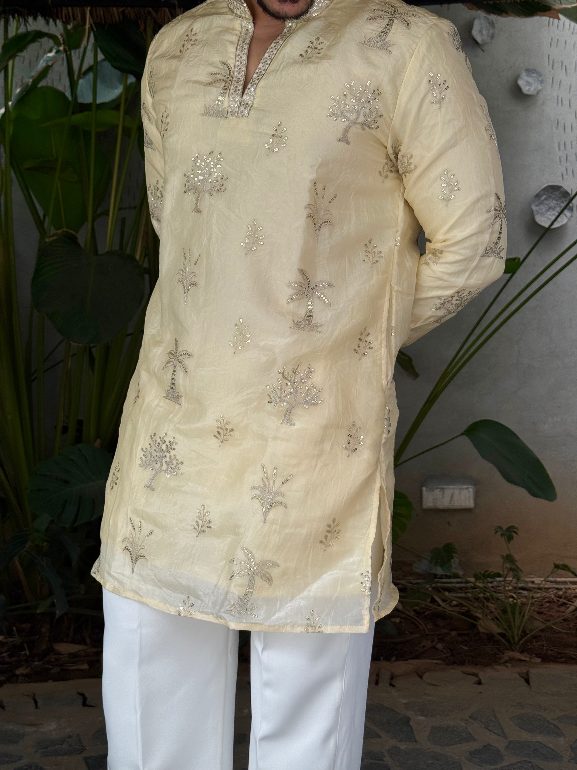 Premium Tissue Embroidered Knee-Length Kurta
