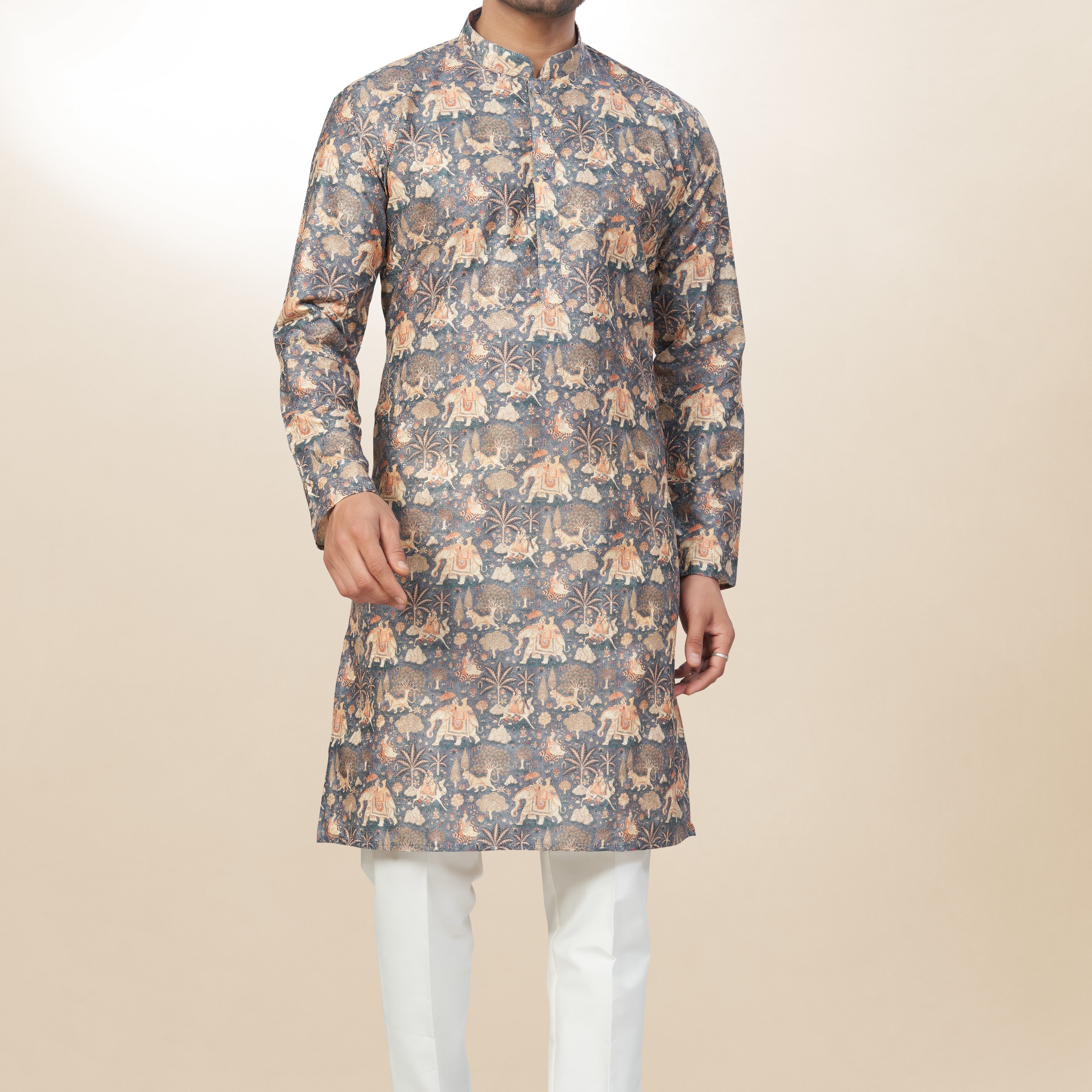 Artisanal Elephant Cotton Printed Kurta